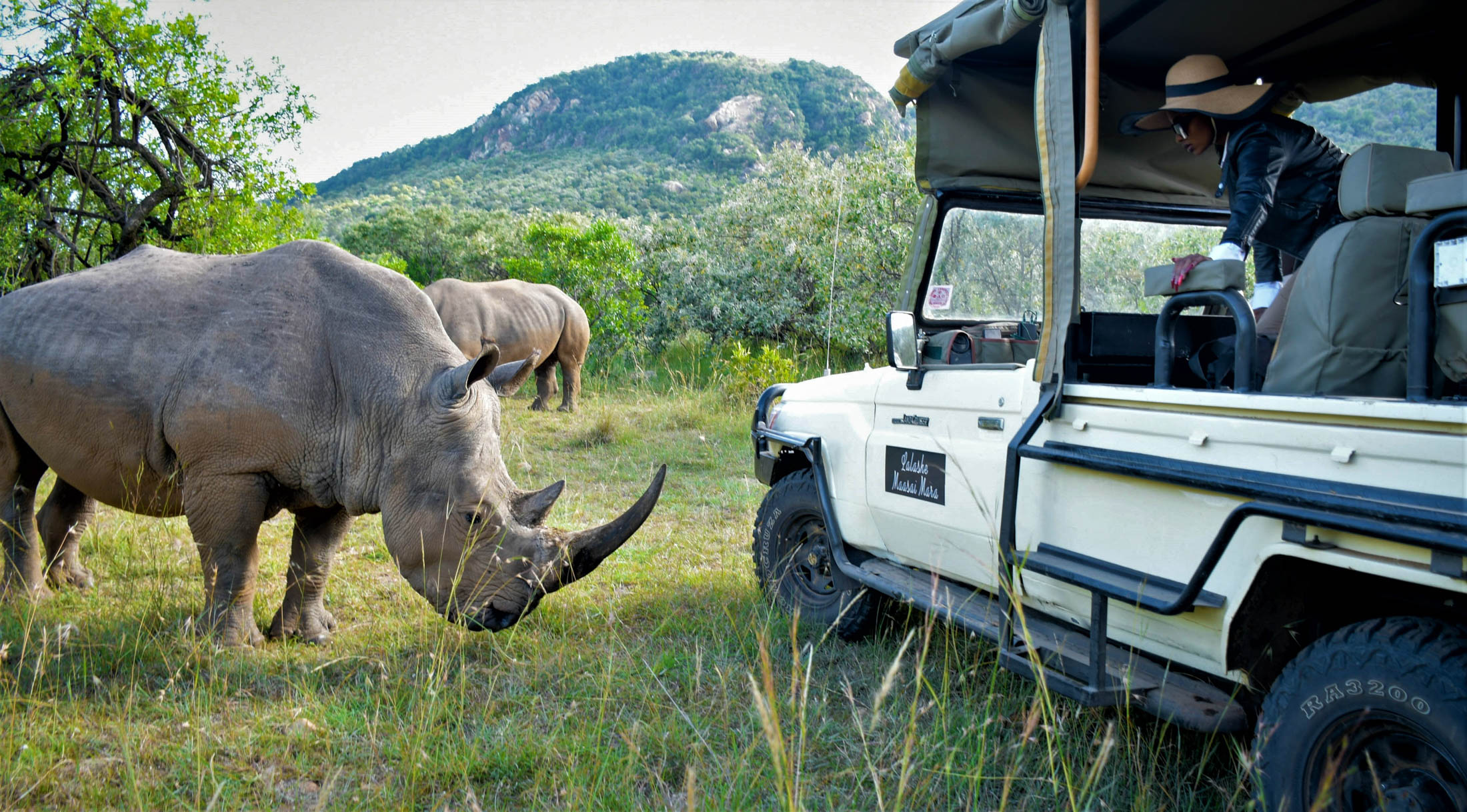 A Private Safari Experience in the African Wilderness Rhino