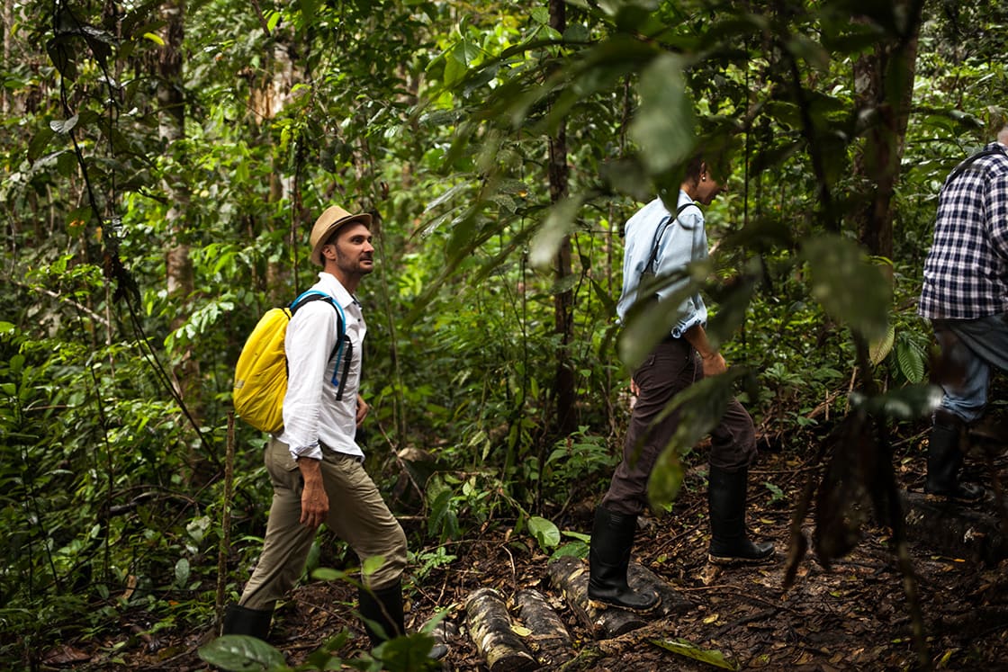 Visiting the Amazon Rainforest is a unique opportunity to immerse oneself in a rich and diverse ecosystem