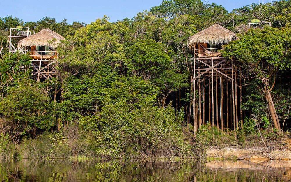 Visiting the Amazon Rainforest is a unique opportunity to immerse oneself in a rich and diverse ecosystem