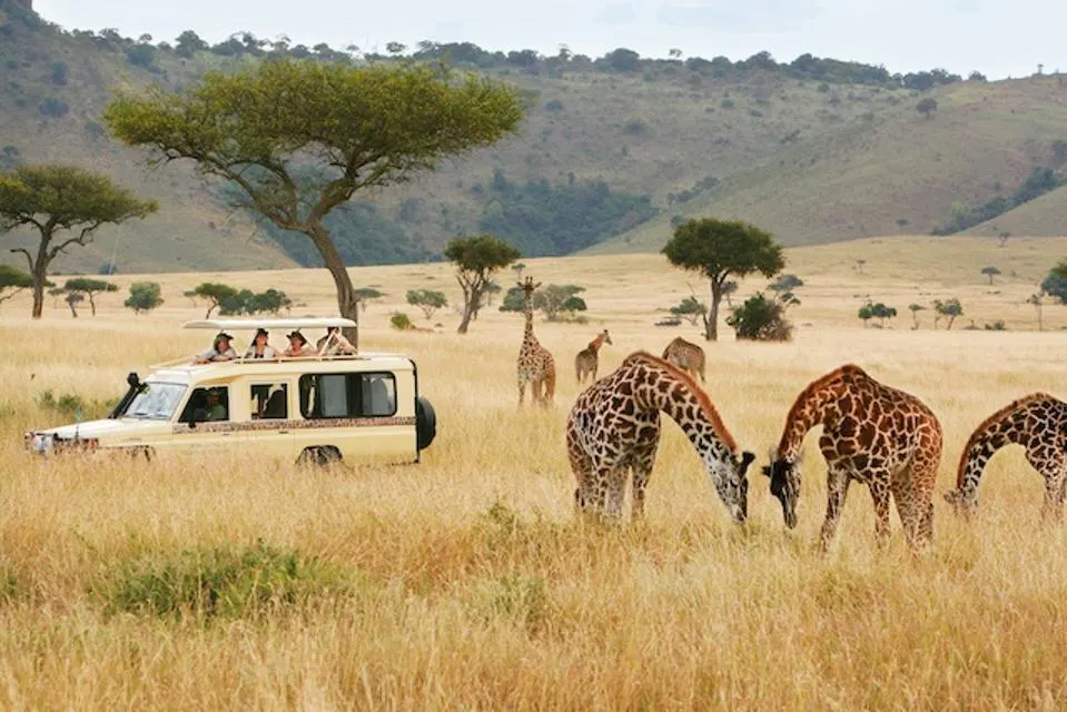 Read more about the article A Private Safari Experience in the African Wilderness