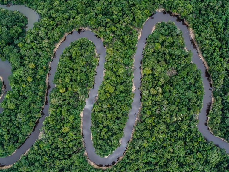 You are currently viewing Venturing into the Heart of the Amazon Rainforest